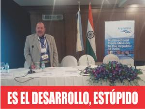 NOTINOR. GUILLERMOS MARTÍN BERARDI. ES EL DESARROLLO ESTUPIDO