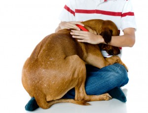 perro asustado