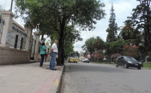 paro cole 3