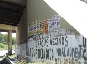 pintadas 6