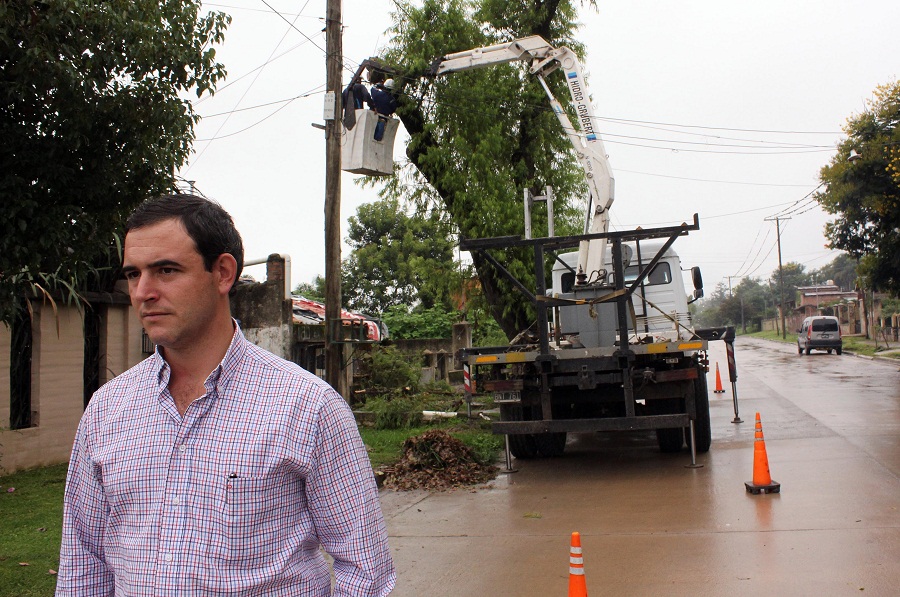 Carlos Hanssen Extracci+¦n de especies arboreas en calle Pesteur 1