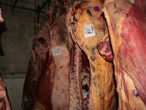 carne apocrifa 1