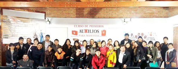 primeros auxilios mascotas