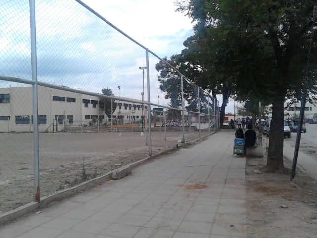 bachi-2-3