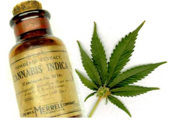 cannabis medicinal