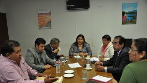 indigena