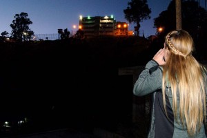lilian-tintori-noche-ramo-verde-eFe-1