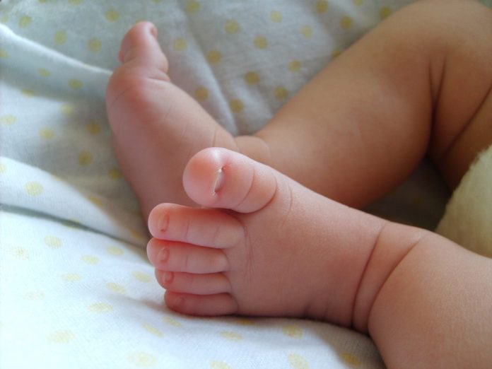 bebe
