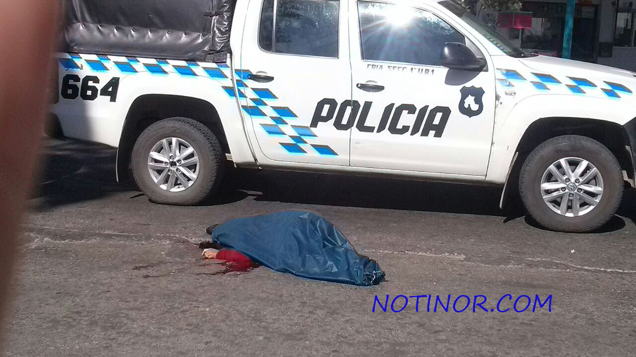 mujer atropellada NOTINOR