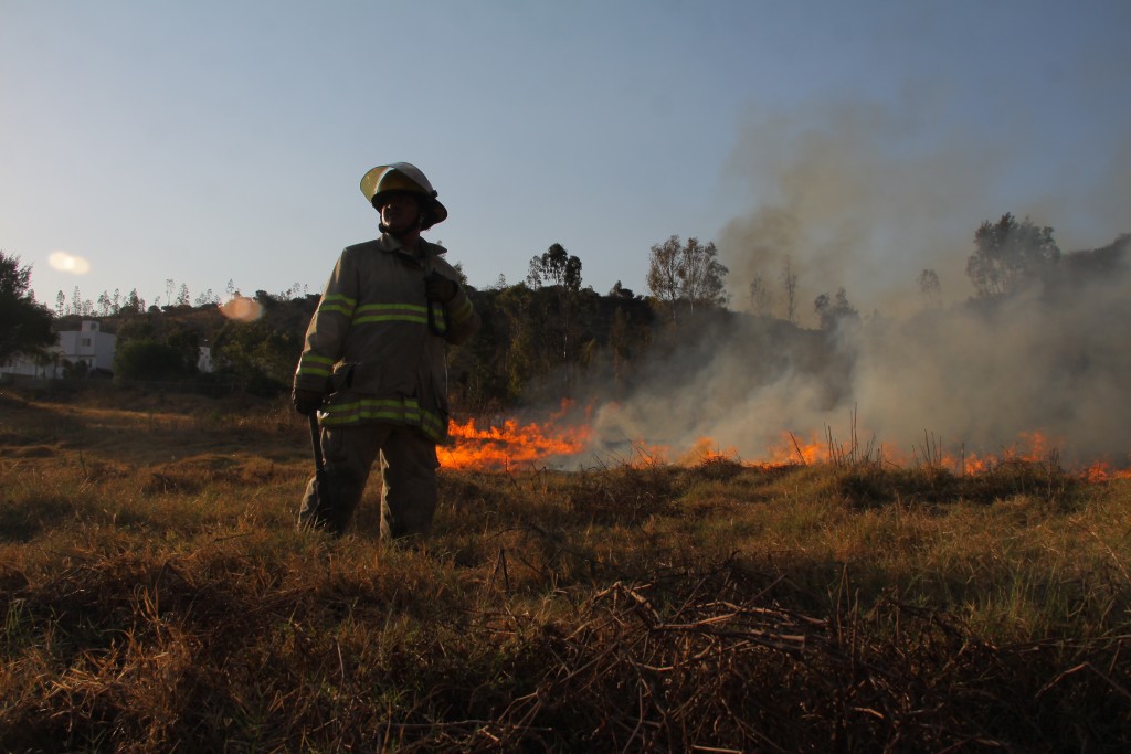 incendio en pastizales