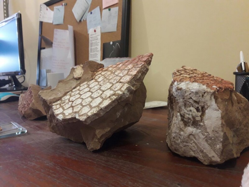 WhatsApp Image 2017-08-29 at 15.33.11