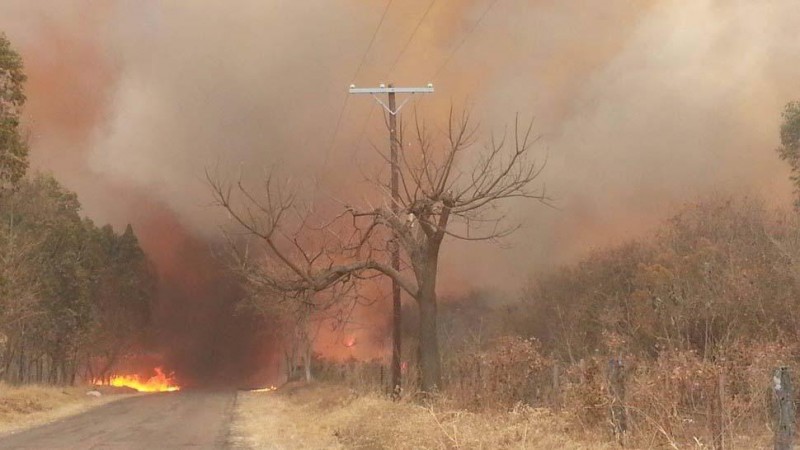 incendio forestal
