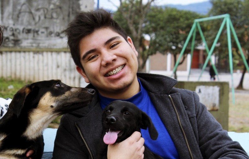 albizo perros