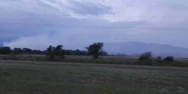 humo
