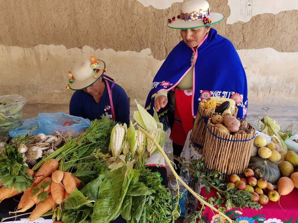 Formas Tradicionales De Produccion De Alimentos En Distintas Culturas