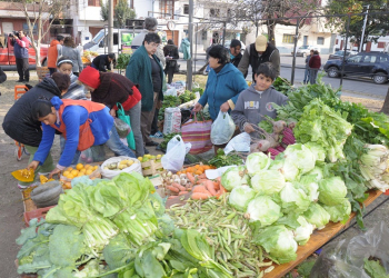 “Economía solidaria” en Ciudad de Nieva