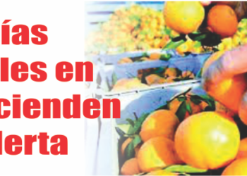 Economías regionales en baja encienden luz de alerta