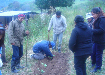 Trabajo en conjunto con vecinos para potenciar huertas orgánicas
