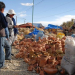 Nueva edición de la Manka Fiesta o Fiesta de la Olla
