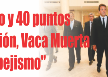 "Con cepo y 40 puntos de inflación, Vaca Muerta es un espejismo"