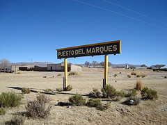 AUTOMOVILISTA PERDIÓ LA VIDA TRAS VOLCAR EN RUTA Nº 9