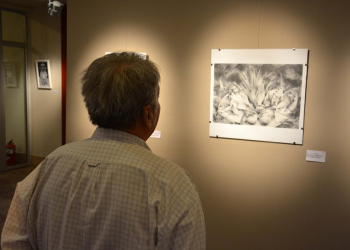 Muestra itinerante del Primer Salón de Dibujo y  Grabados en Pequeño Formato