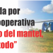Salta alarmada por destino de Cooperativa  “Están tirando del mantel, se romperá todo”