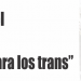 Alcances del polémico proyecto del "subsidio para los trans"