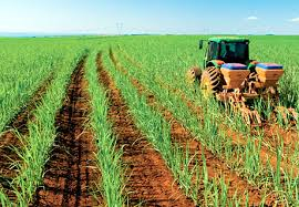 Jornadas de Producción y Comercialización de caña de azúcar orgánico