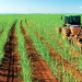 Jornadas de Producción y Comercialización de caña de azúcar orgánico