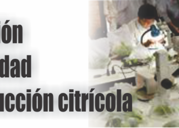 Capacitación sobre sanidad en la producción citrícola