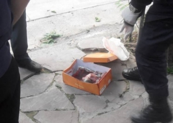 Jujuy: investigan el hallazgo de un feto en una caja