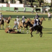 Conmoción por la muerte de una yegua en un partido de polo
