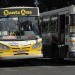 Los colectivos urbanos brindarán servicio el 25 de diciembre y 1º de enero