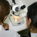 Becas doctorales en Ciencias Biológicas