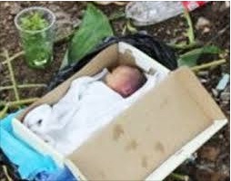 Perico: Macabro hallazgo, Encuentran bebé muerto en una caja