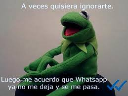 Es Oficial WhatsApp permite desactivar el doble check azul
