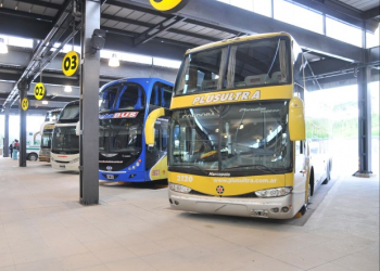 Gremios de transporte anunciaron un paro nacional de 24 horas