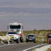 Estado de alerta por las protestas en Jujuy por el paso del Dakar