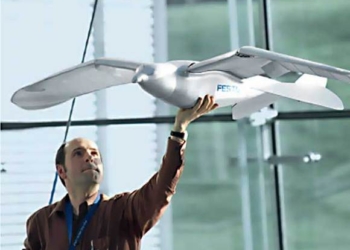 Los drone futuristas que vuelan como pájaros