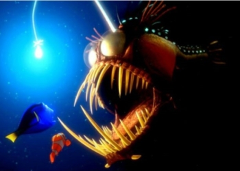 Video: primeras imagenes tomadas del increible Pez Diablo Negro