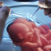 Estudio Polémico: En dos años podrían nacer hijos de padres biológicos del mismo sexo