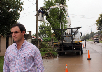 Extracción y reposición de especies arbóreas en barrio Los Perales