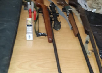 SECUESTRARON PUMA FAENADO Y ARMAS DE FUEGO EN LIBERTADOR