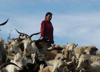 Continúa la muestra fotográfica “Jujuy mujer”
