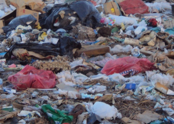 Barrio Malvinas: Encontraron un feto en un basural