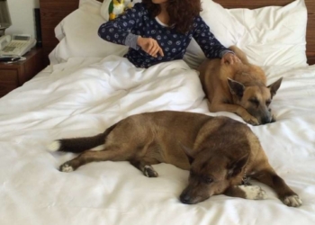 Salma Hayek y su amor por los animales