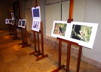 Se realizó el 2º Encuentro “Turismo de naturaleza y observación de aves”