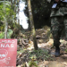 Colombia desmantela estructura de las FARC en el sur del país