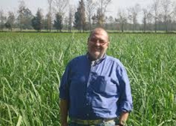 Las Políticas Públicas deben tener horizonte regional "Parlasur"